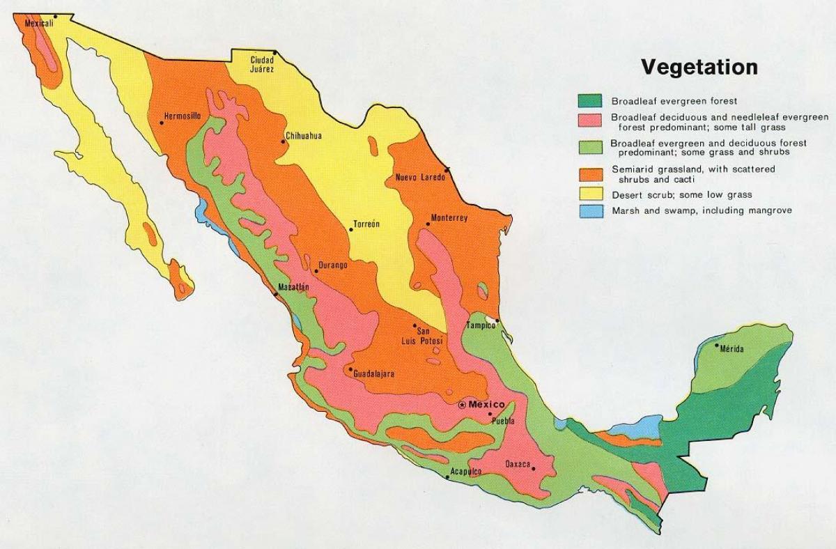 خريطة المكسيك natual ressources